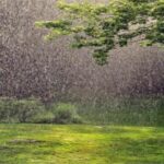 महाराष्ट्र में मूसलाधार बारिश से कुछ इलाकों में बाढ़ , तीन महिलाएं बही