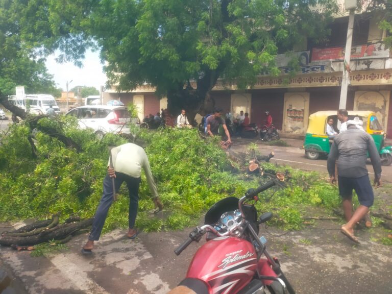 वाराणसी में आंधी-बारिश से मौसम बदला, कई जगह पेड़ गिरे, यातायात प्रभावित