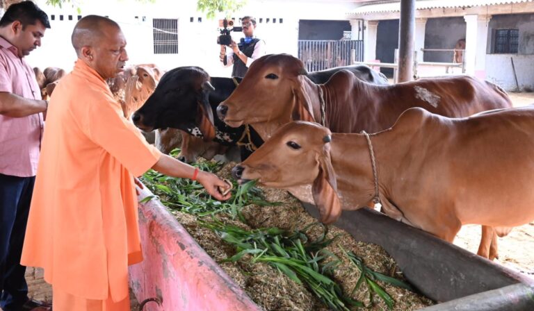 देवीपाटन शक्तिपीठ पहुंचे सीएम योगी, मां पाटेश्वरी का पूजन कर प्रदेश की खुशहाली की कामना