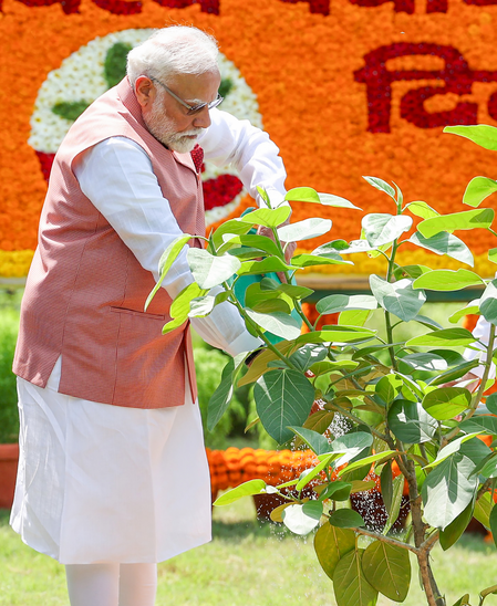 ‘एक पेड़ मां के नाम’ अभियान से जुड़ें देशवासी, पीएम मोदी बोले- पौधा बनेगा भविष्य की विरासत