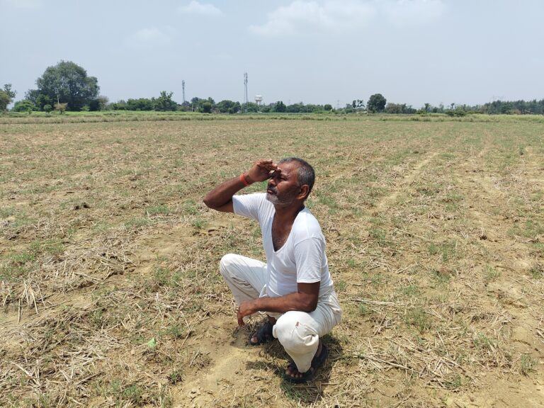 औरैया में बारिश का इंतजार कर रहे किसान, नमी के अभाव में तिल की बुआई अटकी, फसल पर संकट