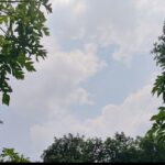 उत्तराखंड में मानसून का असर जारी, छह जिलों में भारी बारिश का येलो अलर्ट; बिजली गिरने की चेतावनी