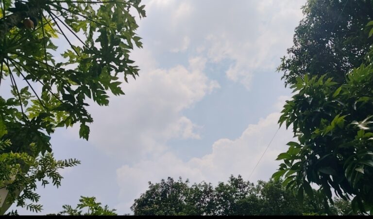 उत्तराखंड में मानसून का असर जारी, छह जिलों में भारी बारिश का येलो अलर्ट; बिजली गिरने की चेतावनी