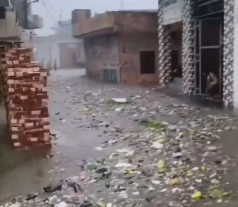 मुजफ्फरनगर में पहली बारिश में डूबा छपार, अतिक्रमण बने आफत का कारण; सड़कें बनीं तालाब, लोगों का फूटा गुस्सा