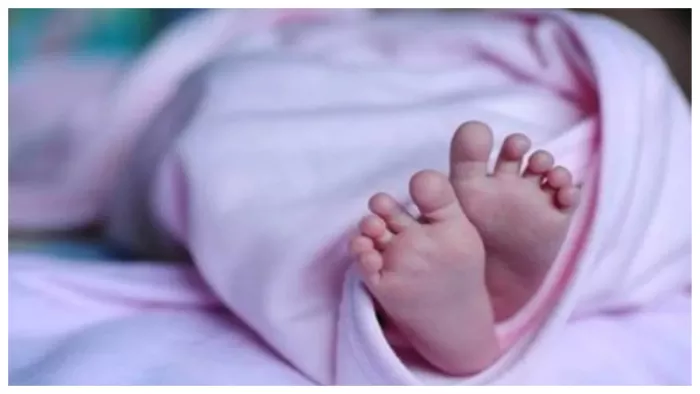 जेवर में इंसानियत शर्मसार! एक दिन की नवजात बच्ची सड़क किनारे मृत मिली, CCTV से जांच में जुटी पुलिस