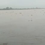 कानपुर में गंगा का बढ़ा जलस्तर, चेतावनी निशान से 22 सेंटीमीटर ऊपर पहुंचा पानी; बैराज से 3.61 लाख क्यूसेक डिस्चार्ज