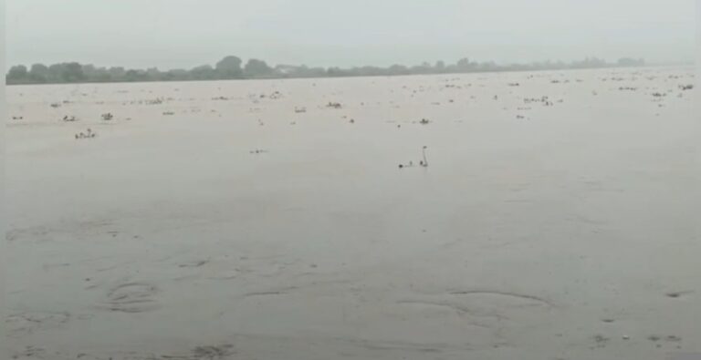 कानपुर में गंगा का बढ़ा जलस्तर, चेतावनी निशान से 22 सेंटीमीटर ऊपर पहुंचा पानी; बैराज से 3.61 लाख क्यूसेक डिस्चार्ज