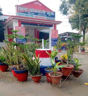 प्रयागराज में दर्दनाक हादसा! सड़क पार कर रहे अधेड़ को पिकअप ने कुचला, मौके पर मौत