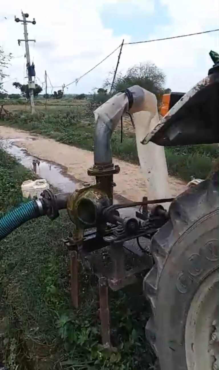 औरैया में घरों के पास तालाब में दिखे मगरमच्छ, ग्रामीणों में दहशत, वन विभाग ने शुरू किया रेस्क्यू ऑपरेशन