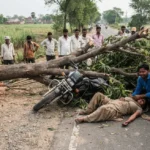 मुजफ्फरनगर में पेड़ कटाई के दौरान बड़ा हादसा: चलती बाइक पर गिरा पेड़, महिला गंभीर घायल; ठेकेदार पर केस