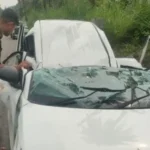 बारिश में मौत का सफर! हरिद्वार जा रही वैगनआर खजूर के पेड़ से टकराई, एक युवक की मौत और चार घायल