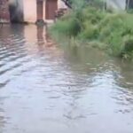 मुजफ्फरनगर के पलड़ा गांव में जलभराव से हाहाकार, गंदे पानी में चलने को मजबूर ग्रामीण; बीमारी का बढ़ा खतरा