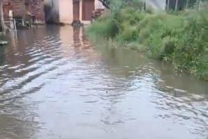मुजफ्फरनगर के पलड़ा गांव में जलभराव से हाहाकार, गंदे पानी में चलने को मजबूर ग्रामीण; बीमारी का बढ़ा खतरा