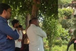 मुजफ्फरनगर BSA दफ्तर में एक साथ निकले चार सांप, मची भगदड़; घंटों चला रेस्क्यू ऑपरेशन फिर भी नहीं मिला एक भी नाग