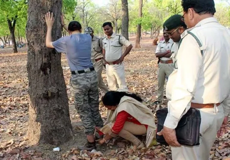 बुढ़ाना में पेड़ से लटका मिला 22 वर्षीय युवक का शव! नशे और घरेलू कलह की चर्चा, पिता ने जताई हत्या की आशंका