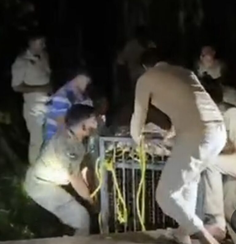 बिजनौर में 30 फीट गहरे सूखे कुएं में गिरा गुलदार, रात के अंधेरे में दो घंटे चला रेस्क्यू; सुरक्षित निकाला बाहर