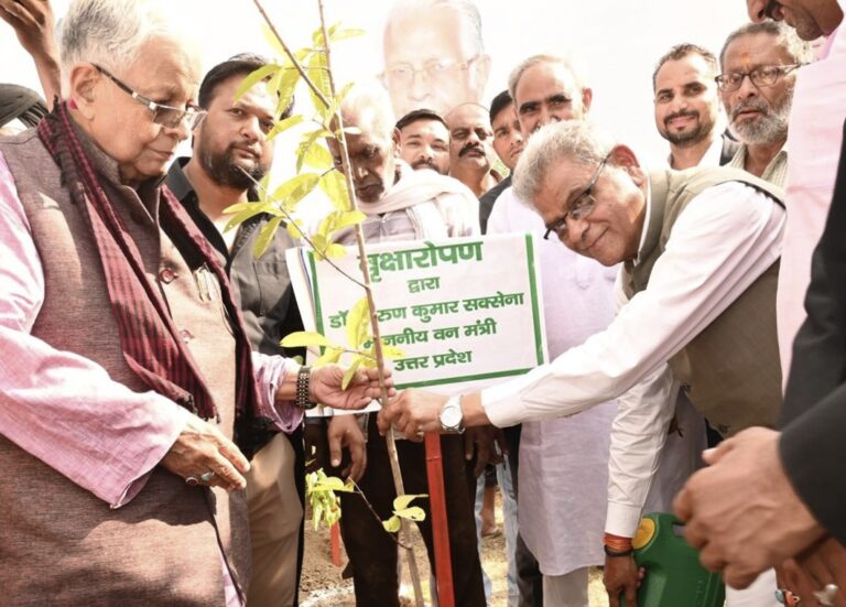 यूपी में 9 साल में 3.38 लाख एकड़ बढ़ा हरित क्षेत्र, 242 करोड़ से ज्यादा पौधे लगाए; पर्यावरण मंत्री ने गिनाईं उपलब्धियां