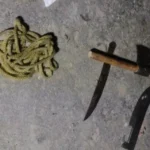 मुजफ्फरनगर में पुलिस मुठभेड़, गोवंश मामले के तीन संदिग्ध गिरफ्तार; एक के पैर में लगी गोली