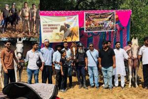 मीरापुर की सड़कों पर दौड़े शानदार अश्व, ग्रुप हॉर्स राइड में घुड़सवारों ने दिखाया जबरदस्त हुनर; युवाओं में दिखा खास उत्साह