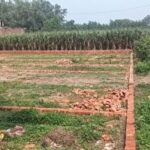 मोरना में अवैध कॉलोनी का खेल! नाला पाटकर कर दी प्लाटिंग, जलभराव से ग्रामीण परेशान; MDA से जांच की मांग