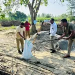 मुजफ्फरनगर में हाईवे किनारे निकला 10 फुट लंबा कोबरा, आधे घंटे की मशक्कत के बाद वन विभाग ने किया रेस्क्यू