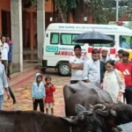 मुजफ्फरनगर के सोमाली गांव में पशु चिकित्सा शिविर, 150 से अधिक पशुओं की जांच; बांझपन और प्रजनन समस्याओं पर विशेषज्ञों ने दी सलाह