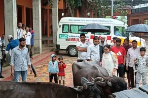 मुजफ्फरनगर के सोमाली गांव में पशु चिकित्सा शिविर, 150 से अधिक पशुओं की जांच; बांझपन और प्रजनन समस्याओं पर विशेषज्ञों ने दी सलाह
